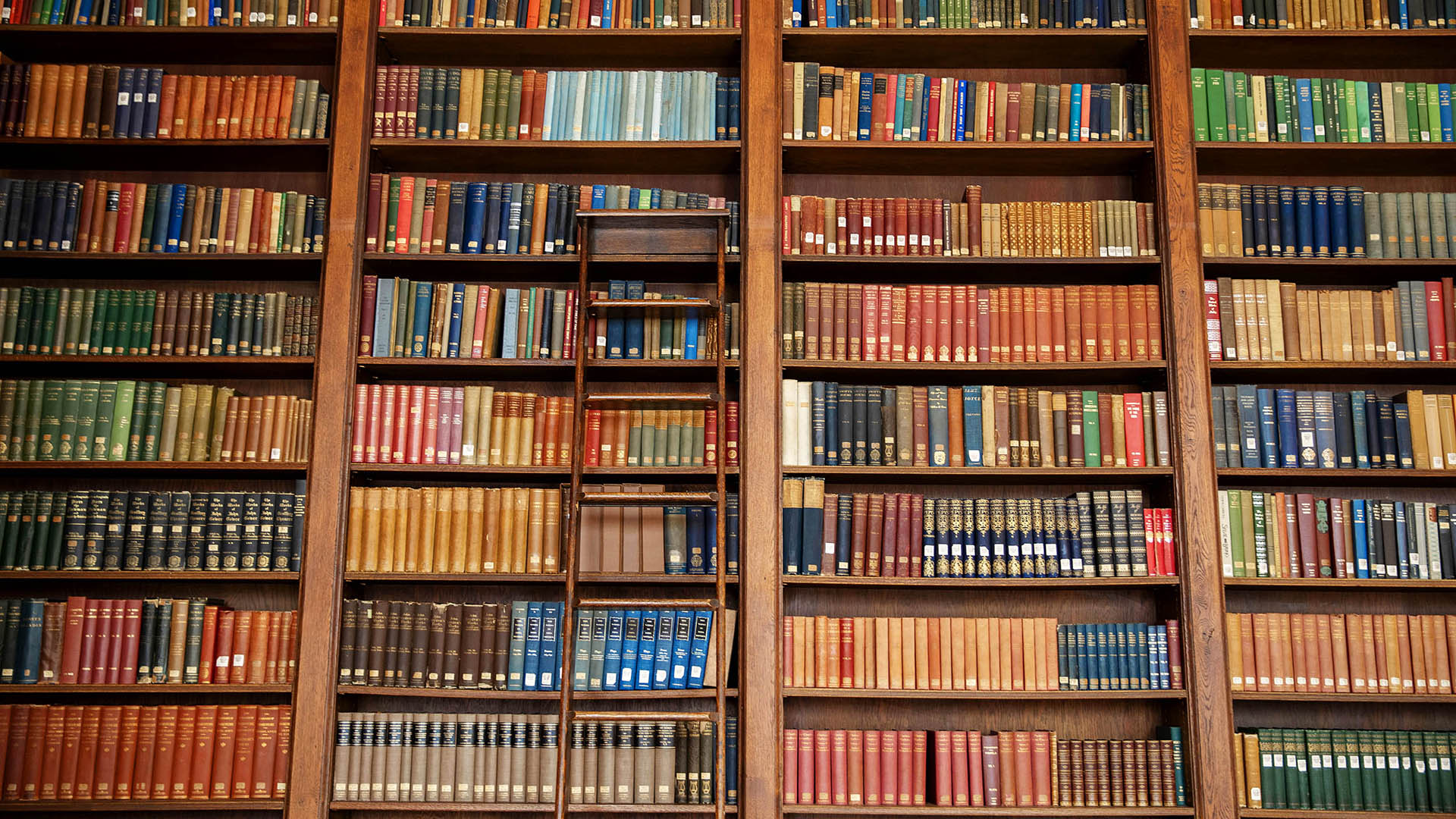 Bookshelf at Dunster House library - Virtual Backgrounds