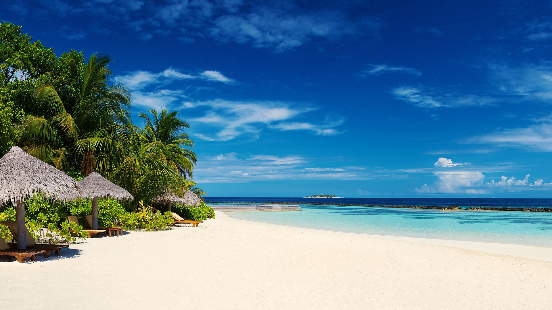 Tropical beach with sunshades - Virtual Backgrounds