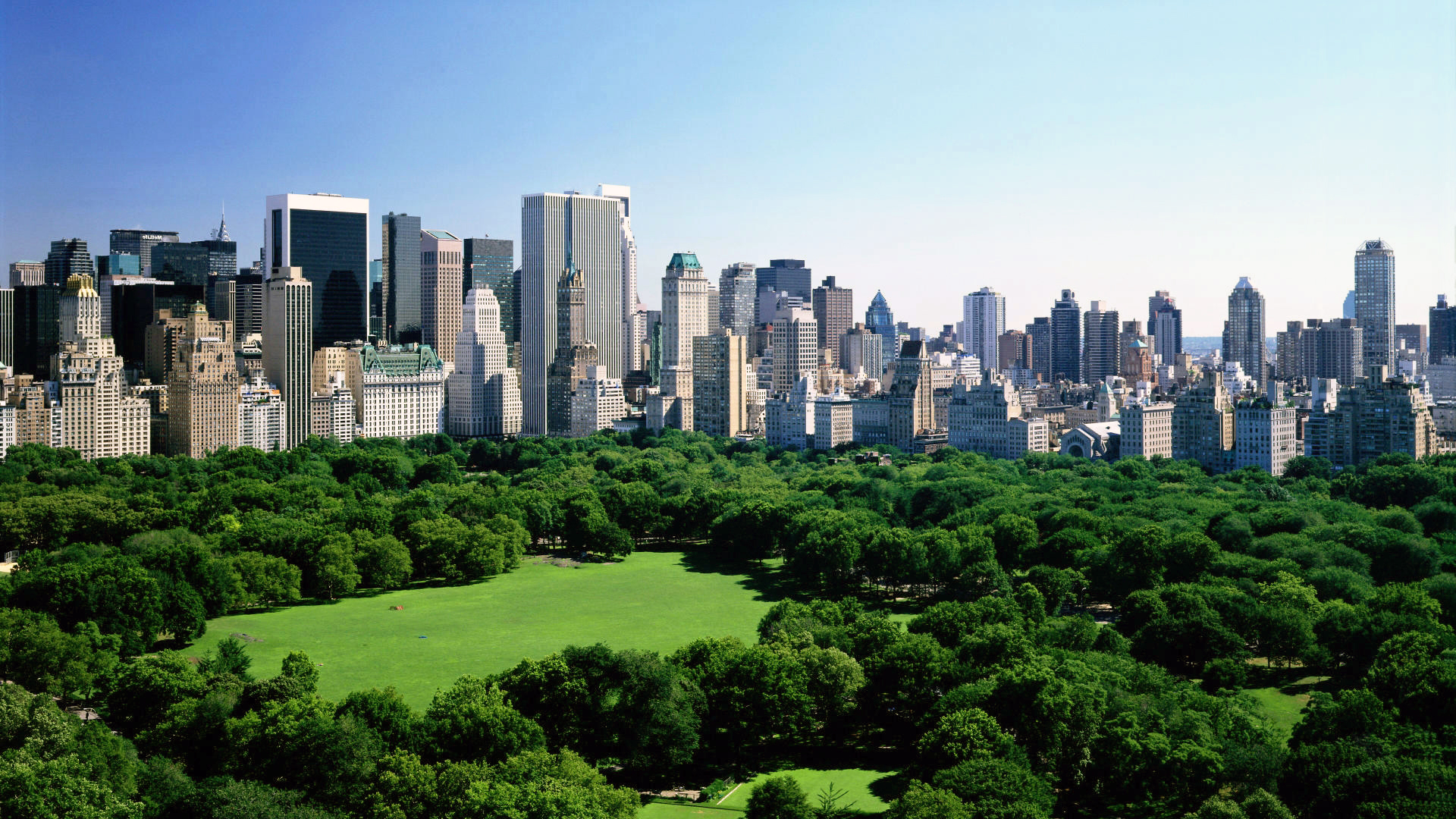 Central Park landscape. Virtual background to use on Zoom, Microsoft Teams, Skype, Google Meet, WebEx or any other compatible app.