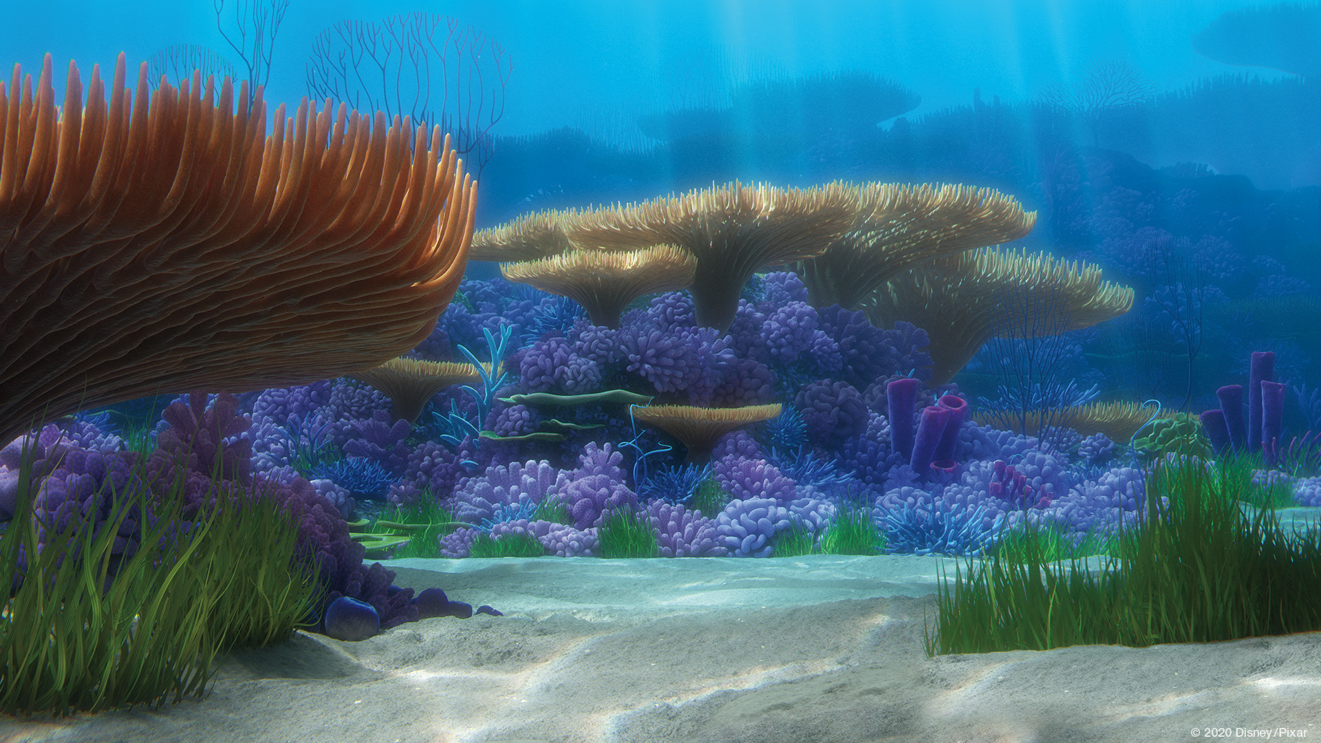 Finding Nemo coral reef - Virtual Backgrounds