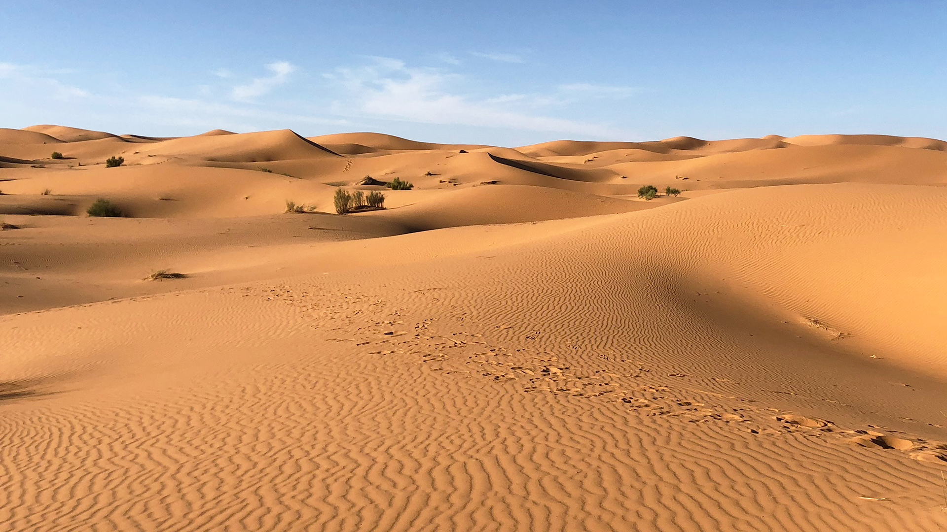 Desierto del Sahara. Fondo virtual gratuito para Zoom, Microsoft Teams, Skype, Google Meet, WebEx o cualquier otra aplicación compatible.