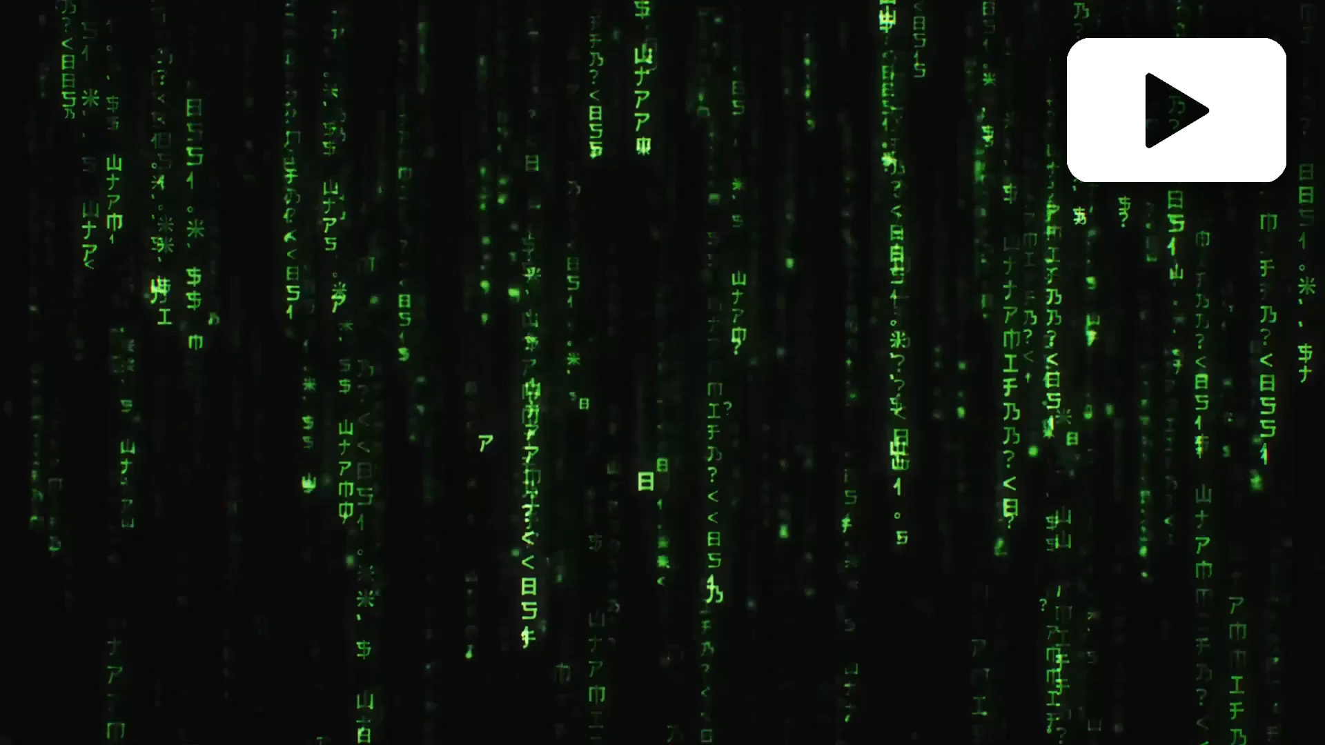 The Matrix digital rain video - Virtual Backgrounds